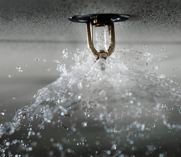 rociadores automáticos